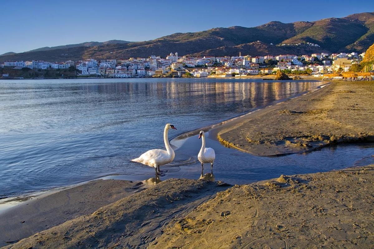 Kontos-Traditional House In Andros Beach Exteriér fotografie